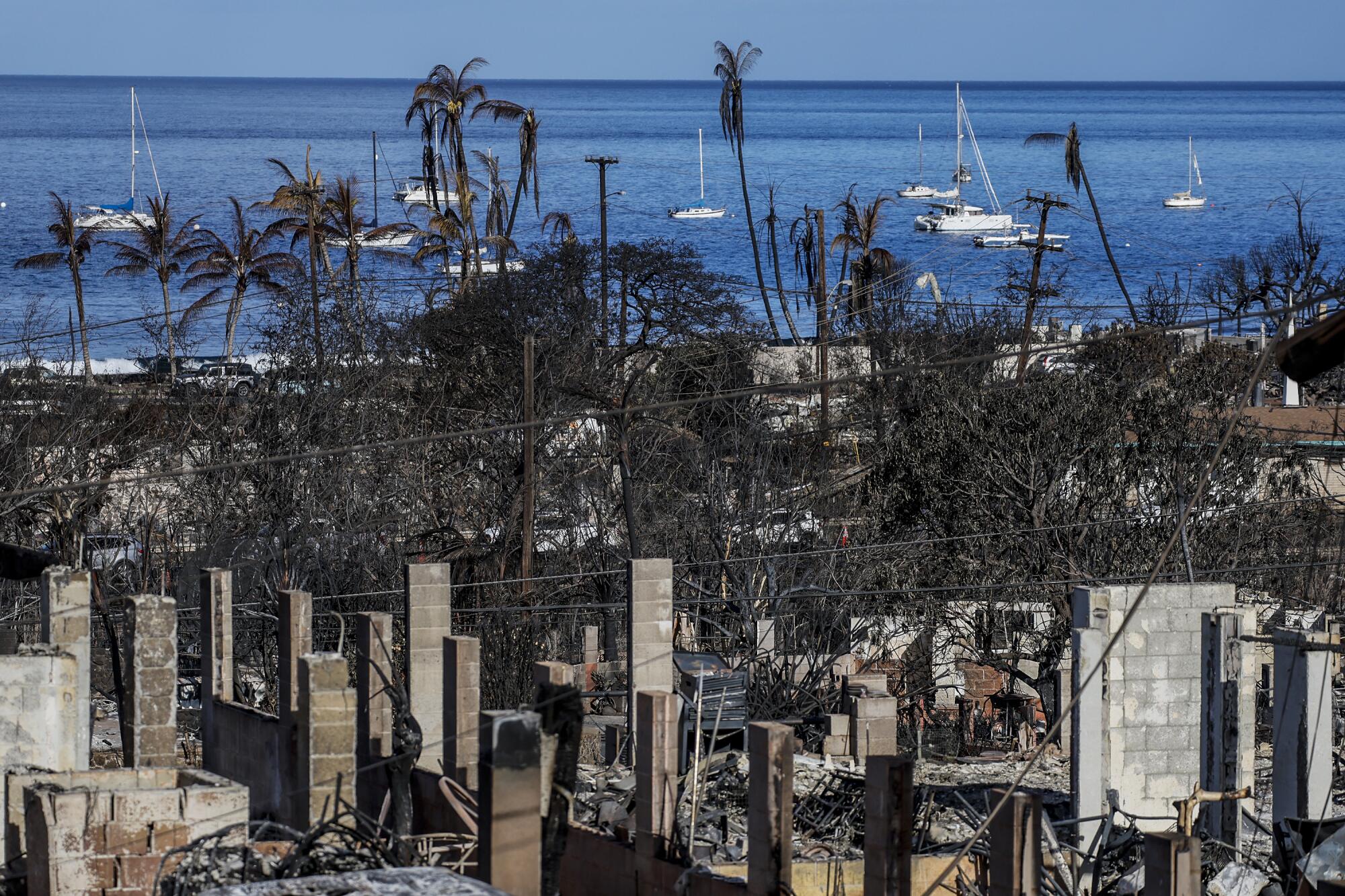 What it's prefer to journey to Maui proper now — one yr after the catastrophic wildfires