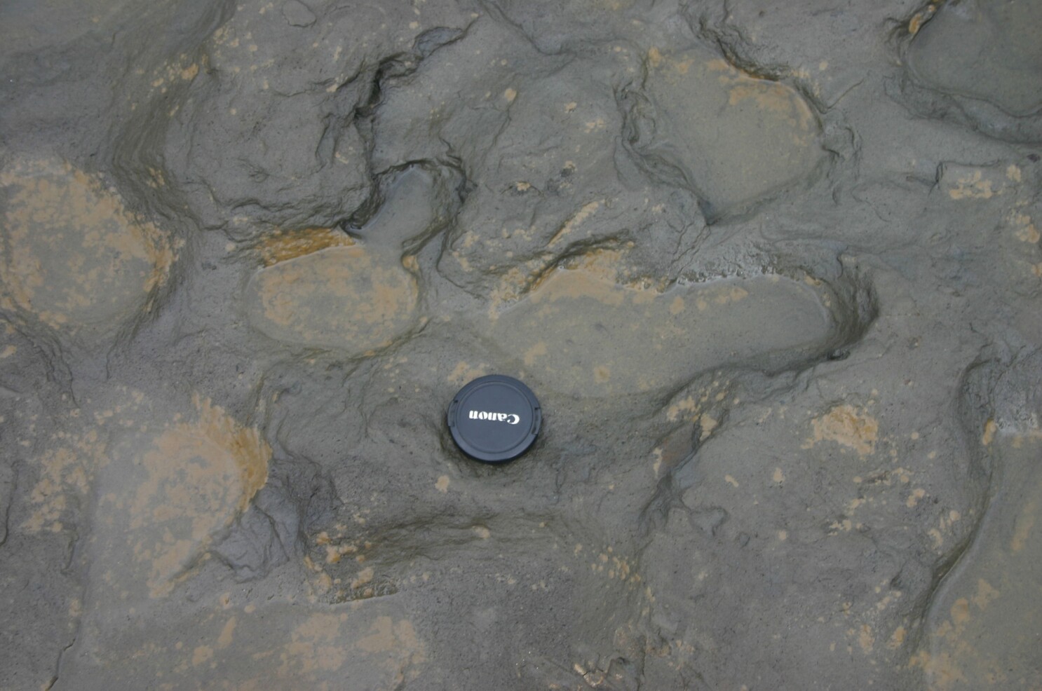 800 000 Year Old Footprints Found In England Then They Washed Away Los Angeles Times