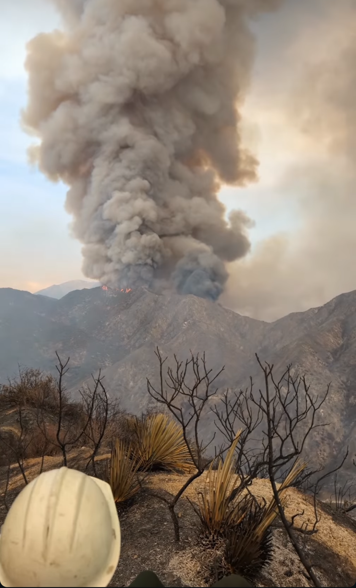 A thick column of smoke rises from a landscape of scorches trees and mountains