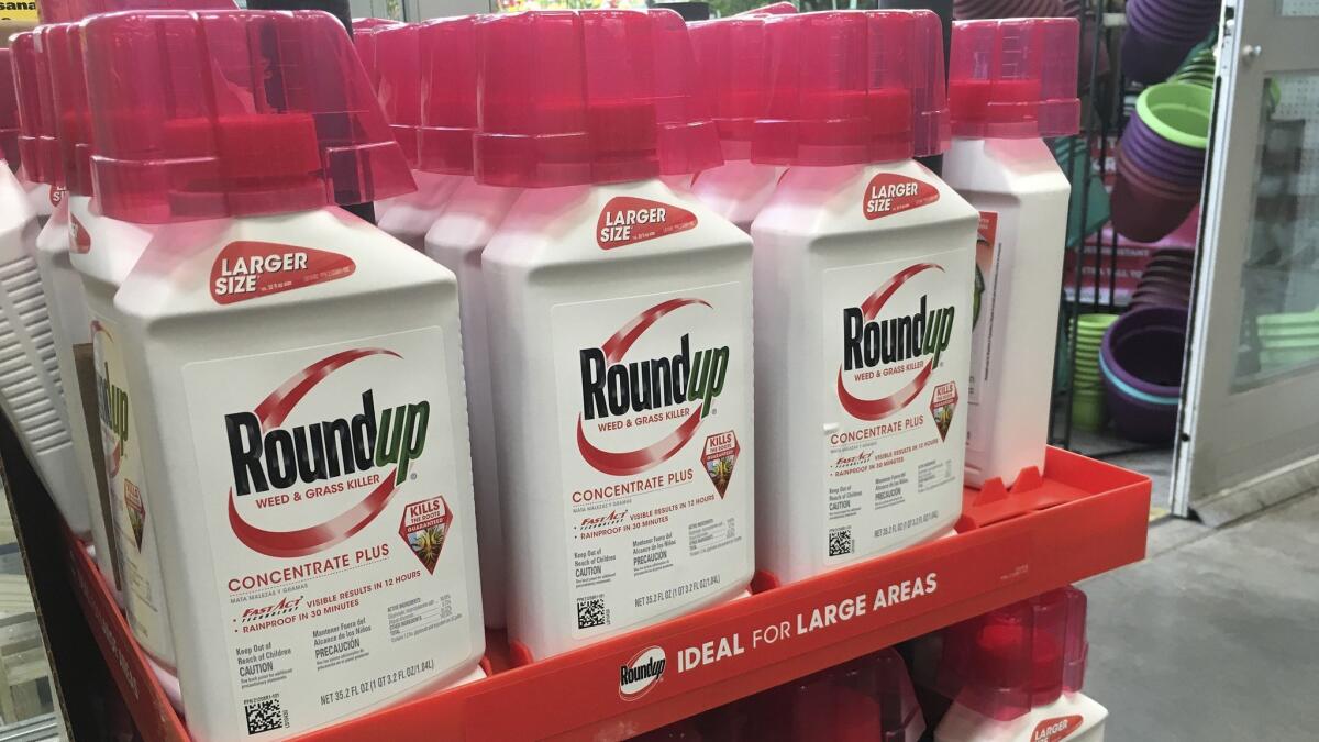 A California man is the second plaintiff to go to trial alleging Monsanto's Roundup weed killer causes cancer.