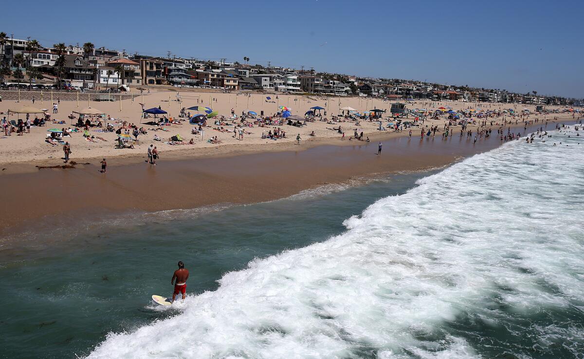 A day after a 10-foot great white shark attacked a swimmer, beachgoers again took to the waters off Manhattan Beach. City officials are considering restrictions, including restricting fishing on the pier, after the incident.