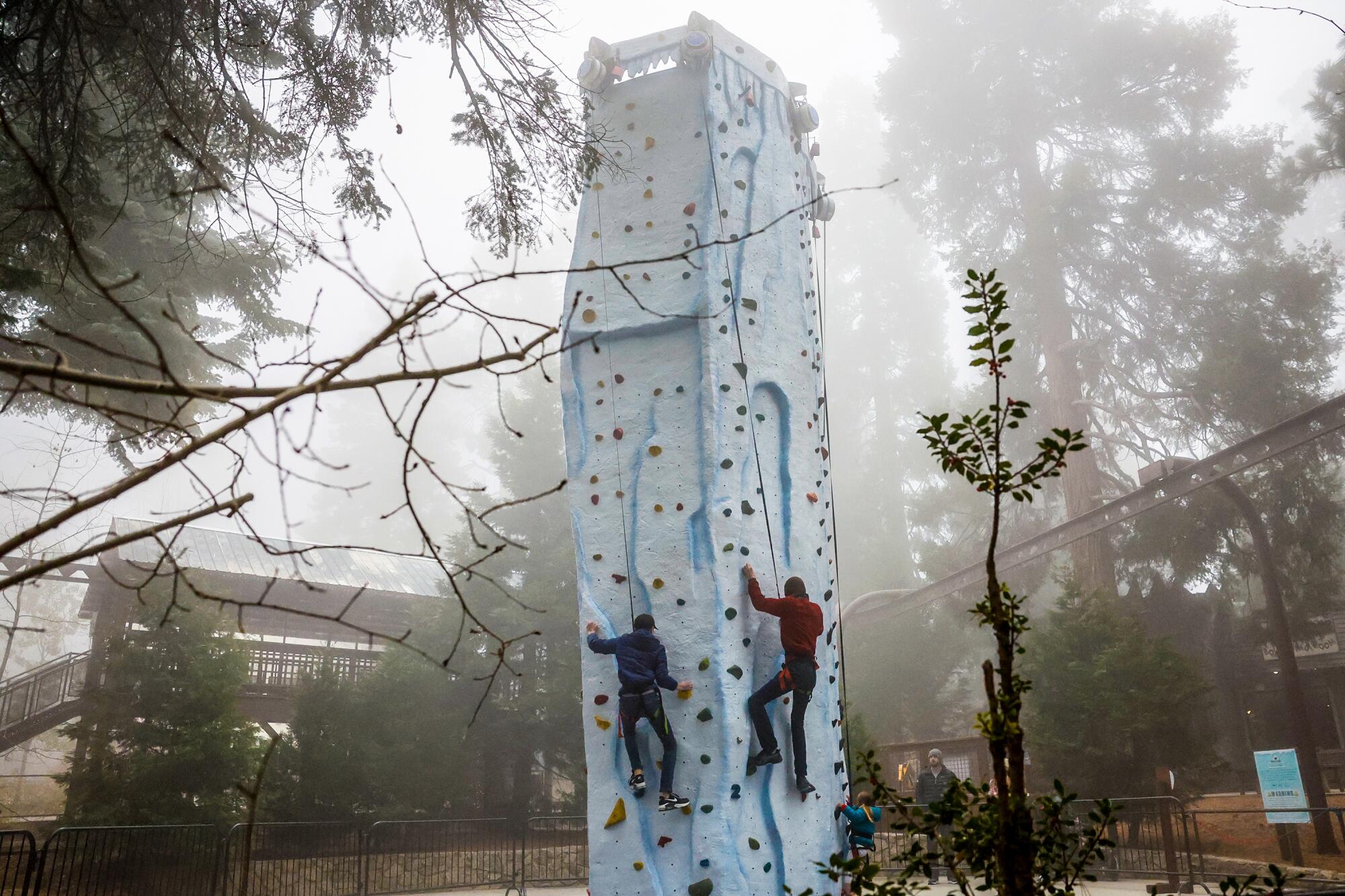 People climbing a rock wall in a foggy wooded area.