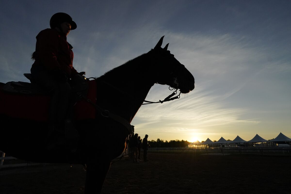 A horse works out at Pimlico Race Course in Baltimore on Wednesday.