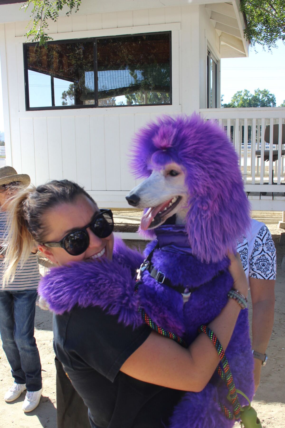 Casey Blatt and Mia at the 2015 Spooktacular dog costume contest. (Courtesy)