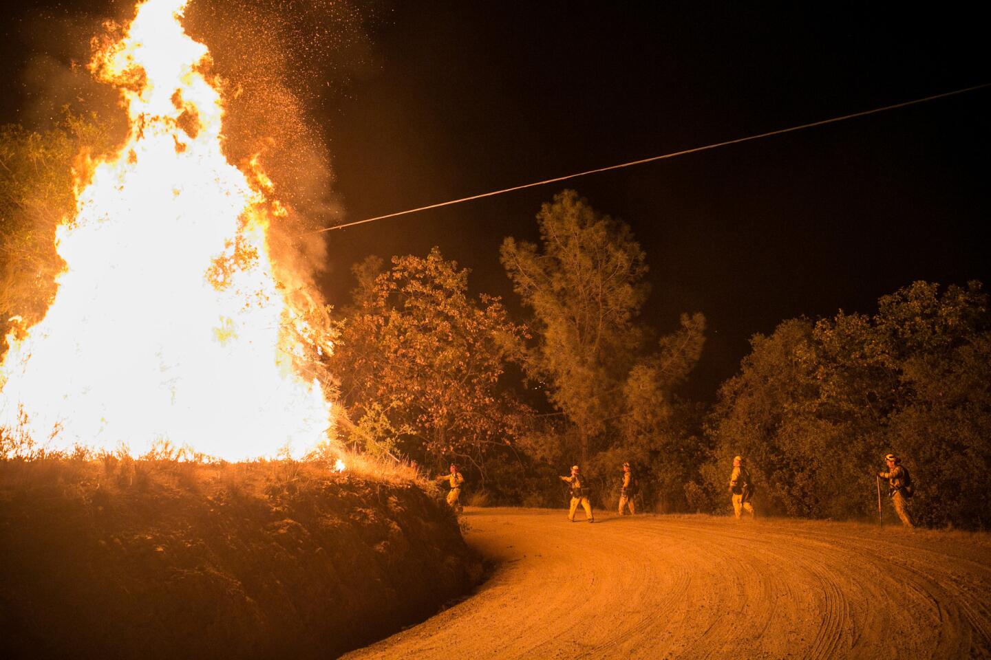 Butte fire