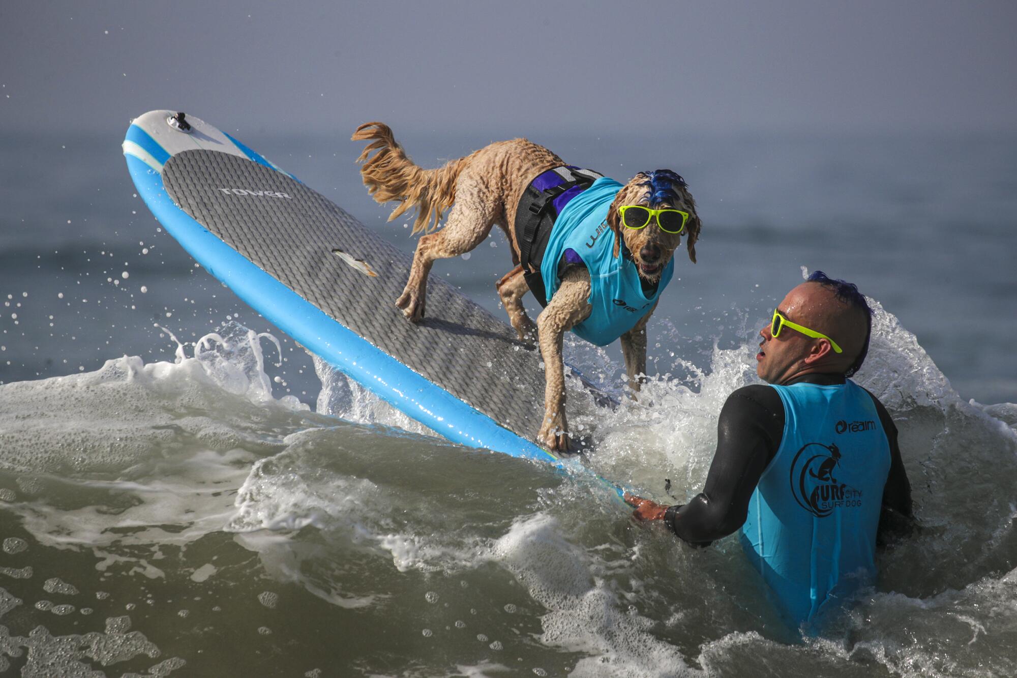 Derby, a 9-year-old Golden Doodle, and Kentucky Gallahue, 41, wait for a good wave.
