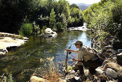 Andrew Delaney of Los Angeles fishes for trout at Piru Creek in the Los Padres National Forest.