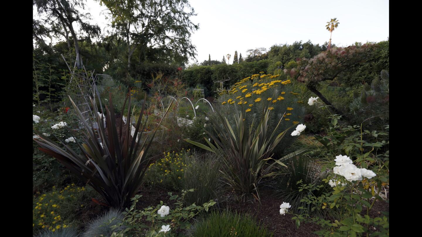 Peggy Casey's Altadena garden