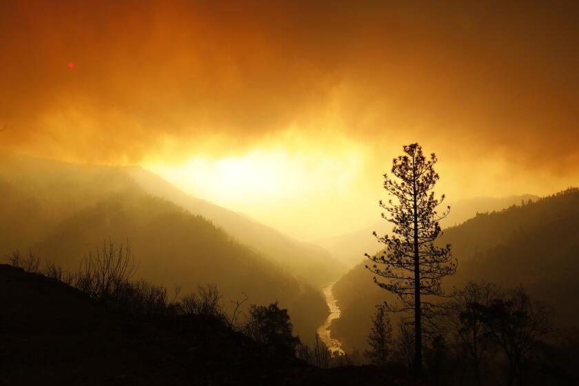 Smoke fills the sky as the Camp fire continues to burn along the North Fork of the Feather River. It has already burned more than 200,000 square miles.