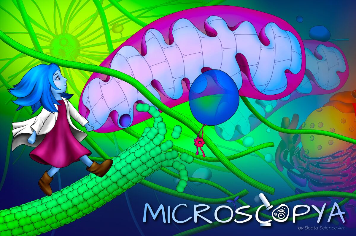 UC San Diego scientist Beata Mierzwa launched the video game "Microscopya" on July 8.
