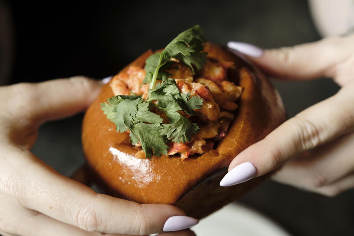 Hands with manicured fingernails hold a lobster roll.