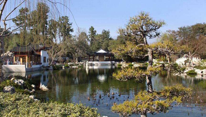 Chinese Garden at the Huntington