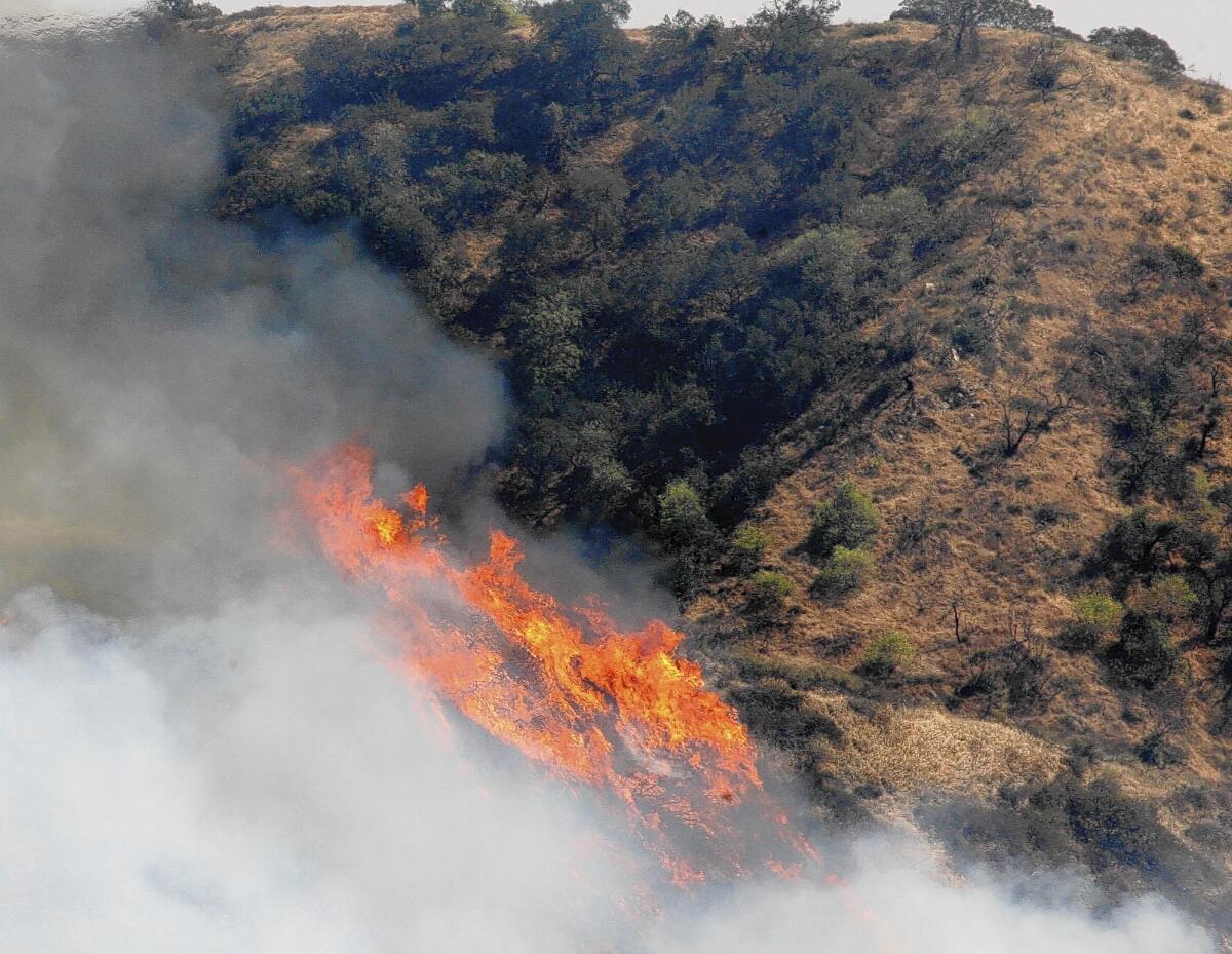 A fire in the Glenoaks and Chevy Chase canyons in Glendale on May 3, 2013 forced hundreds of people to evacuate their homes. Rain is likely to soak the region for several days this week prompting officials to patrol the recently charred canyon hillsides for potential debris flow.