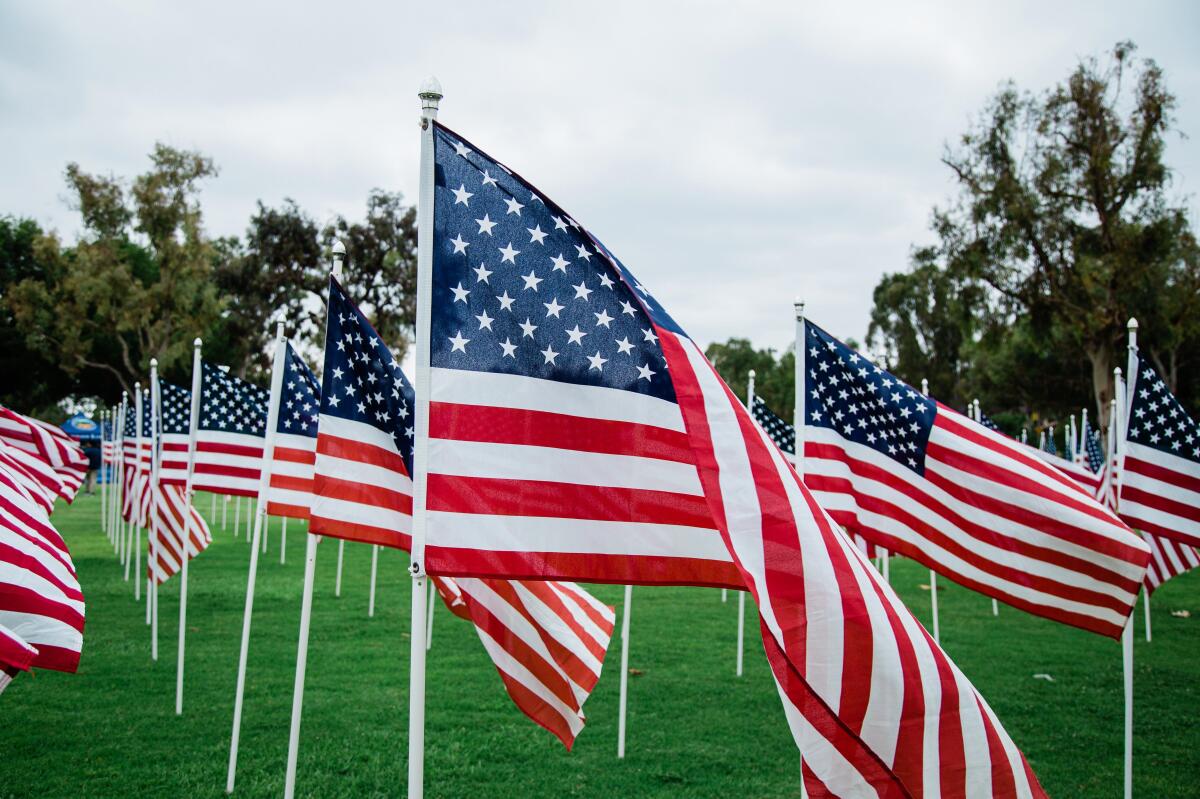 A field of 248 flags at Irvine's Mason Park represent the 248th birthday of the U.S. Army, which formed in 1775.