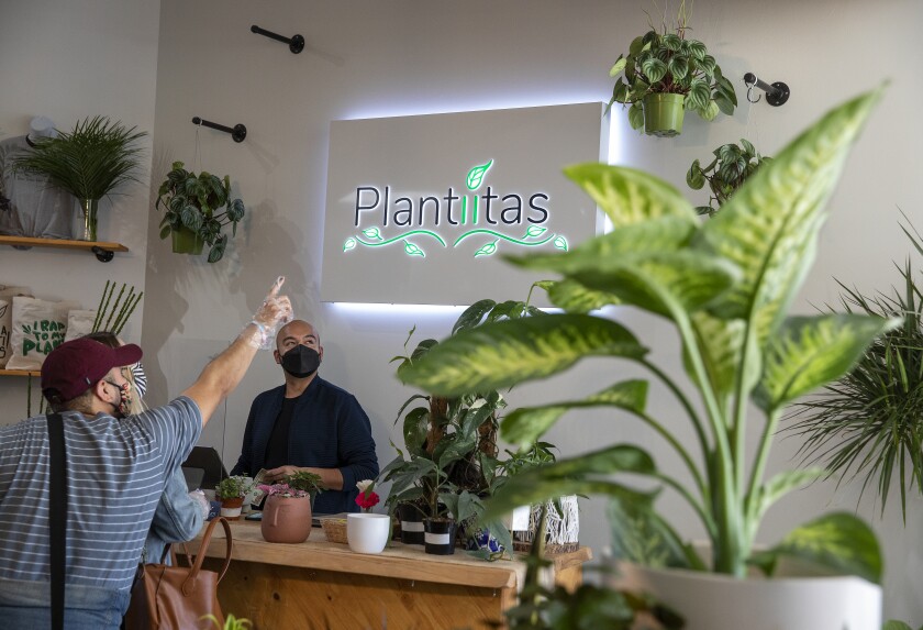 Anthony Diaz, right, co-owner of Plantiitas. 