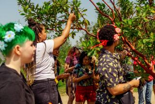 LOS ANGELES, CA MAY 20TH- Queer foragers examine the trees around them during a Queer Foraging Workshop organized by Jessica Lin at Los Angeles State Historic Park on Saturday, May 20, 2023.