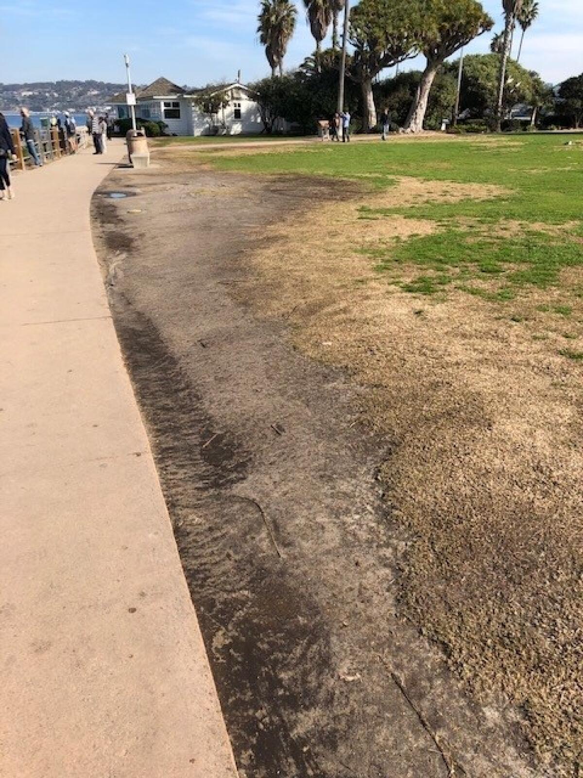 Susan Welsch writes that Scripps Park has seen much better days.