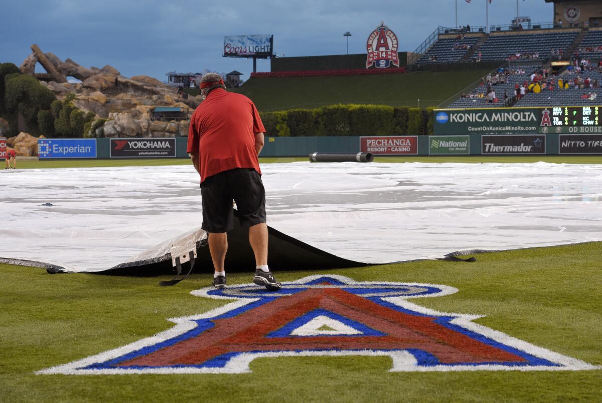 An Angel Stadium grounds crew worker lifts a tarp that covers the infield during the Angels' first rainout in 20 years.