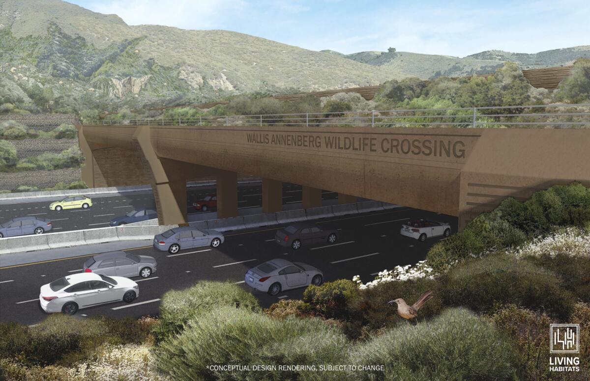 A rendering of the Wallis Annenberg Wildlife Crossing