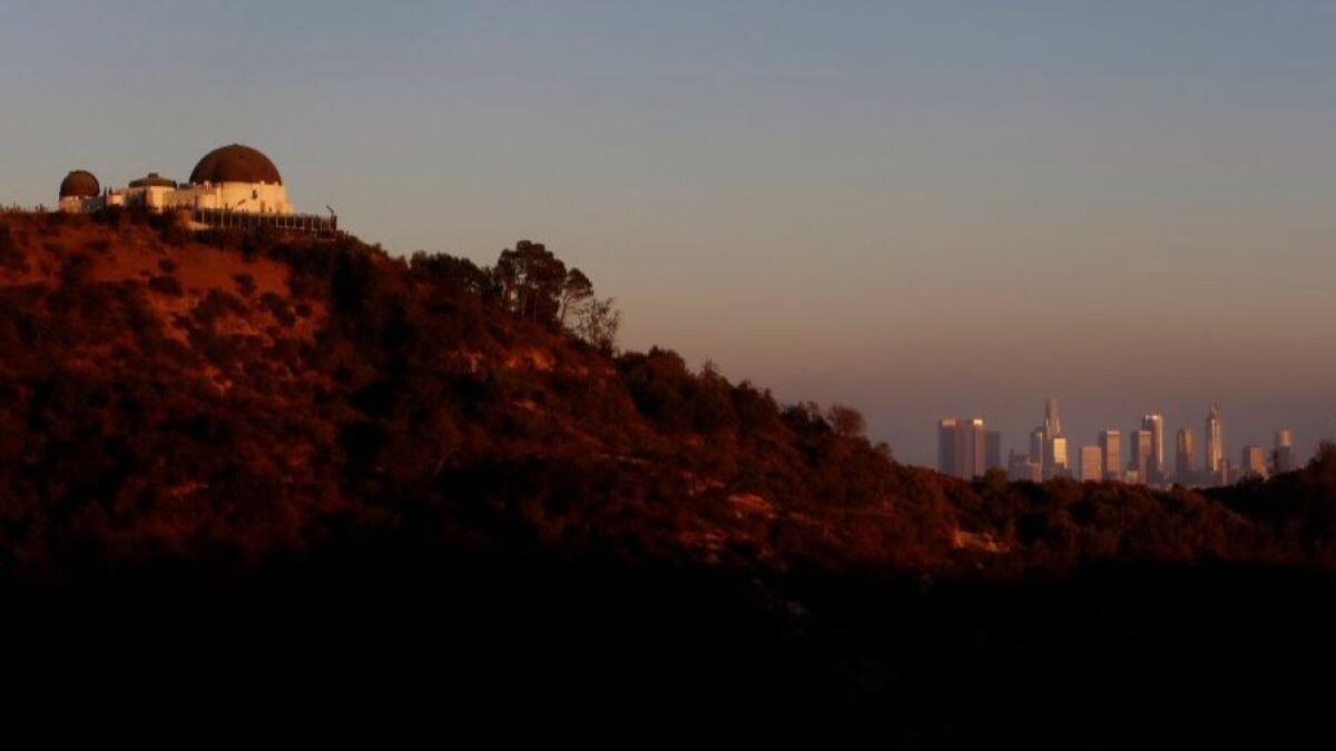 The city has concluded that a member of volunteer boards advising the city on Griffith Park and the Greek Theatre engaged in "inappropriate behavior." Above, the Griffith Observatory.