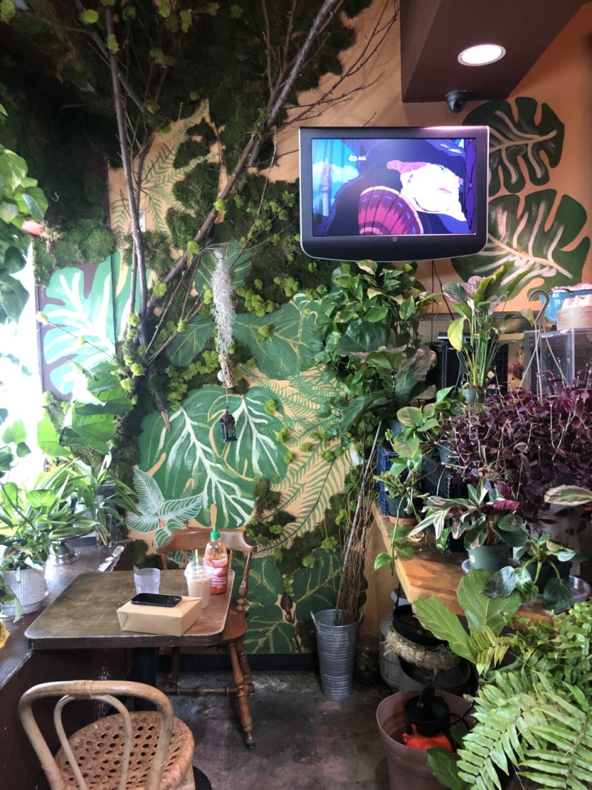 An animated film screens on a green wall of plants.