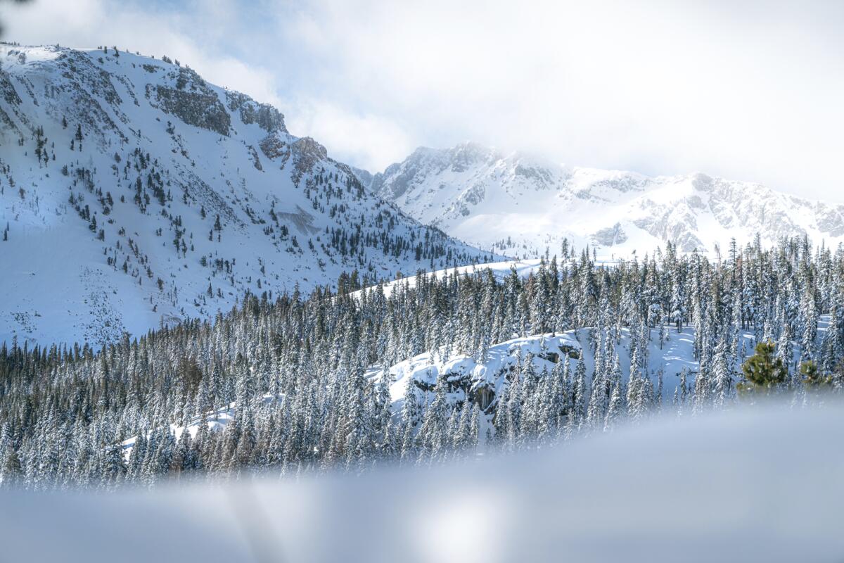 En esta imagen publicada por Mammoth Lakes Tourism, la nieve cubre la montaña 