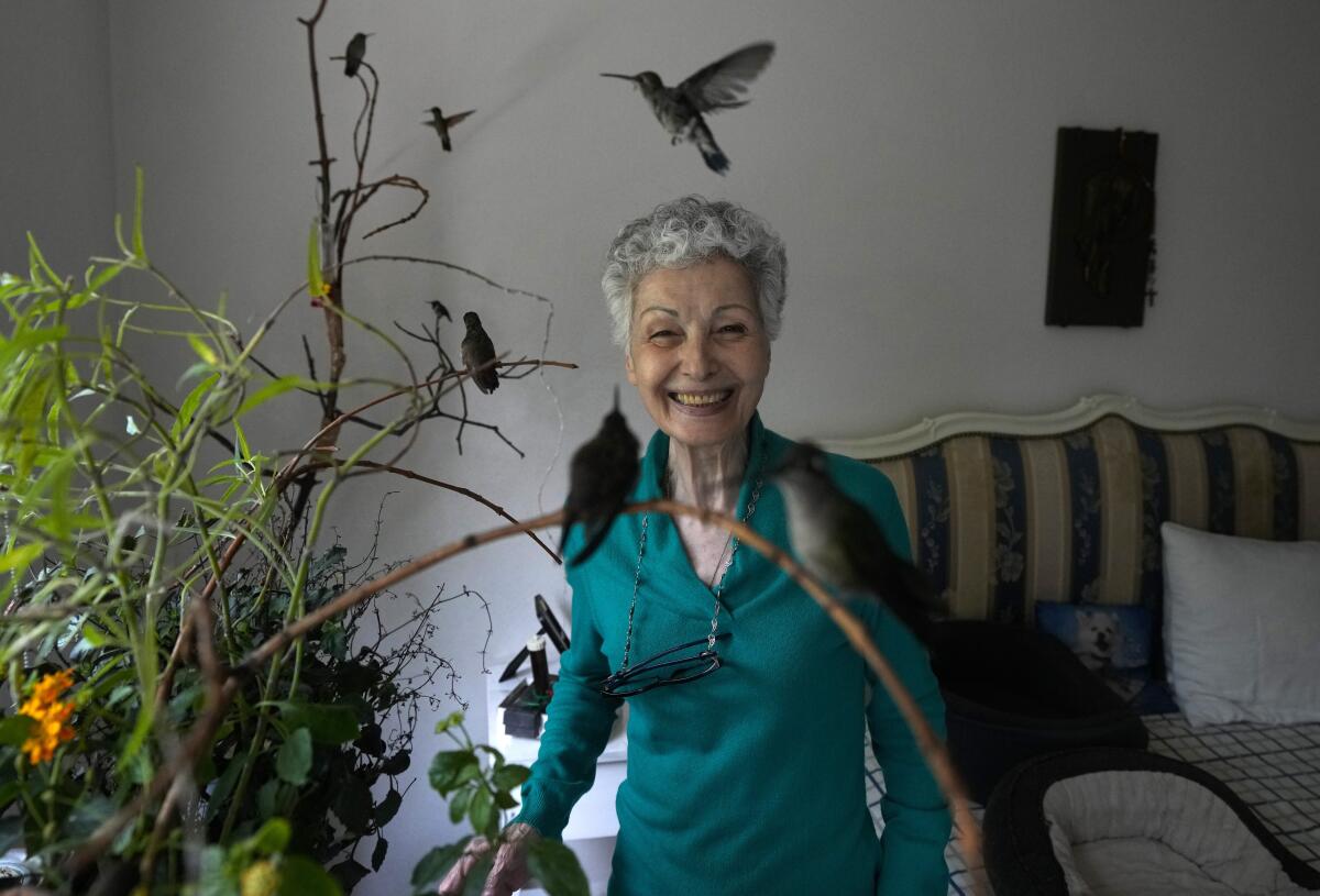 Catia Lattouf posa para una foto con colibríes a su cuidado, en su apartamento