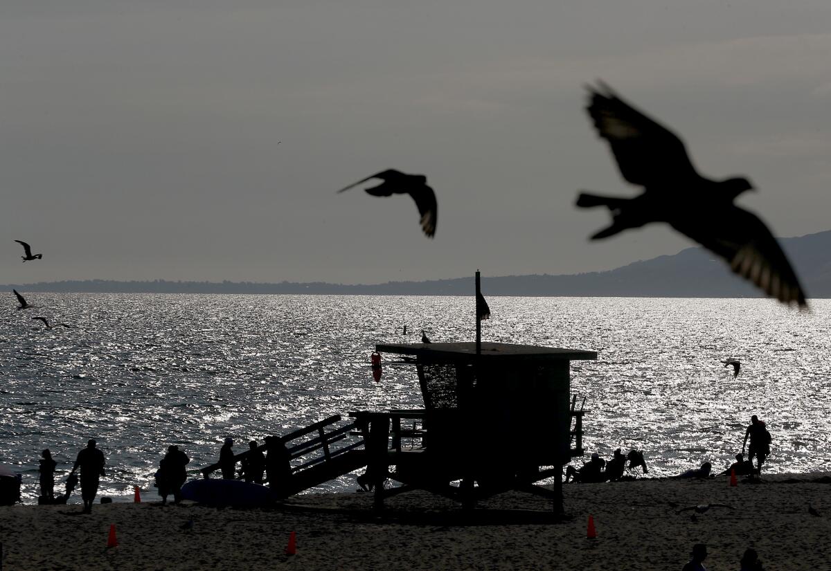 Santa Monica State Beach, shown June 12, was the site of a stabbing Monday, police say.