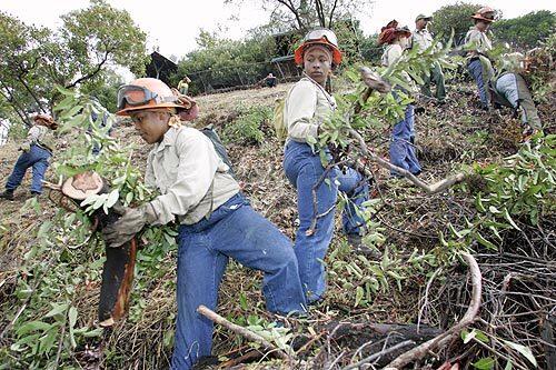 Removing debris