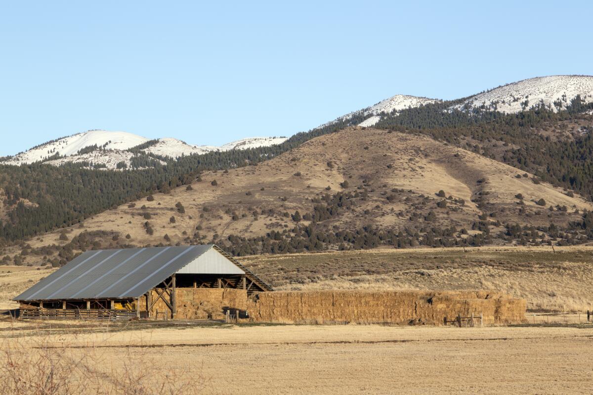 A hay barn in Modoc County, which has fewer than 9,000 residents and planned to ease stay-at-home restrictions on Friday.