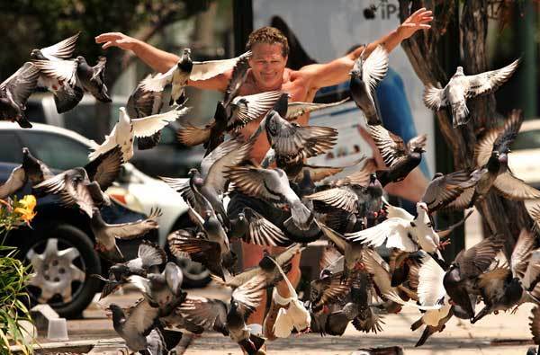 Actor Rik Martino, 58, poses behind a flock of pigeons on Griffith Park Boulevard in Silver Lake. "I should be out looking for a job," he jokes. "I don't have a car. I'm a poor guy. I shouldn't be doing this. I know some people don't like it, but I put the birds first." See full story