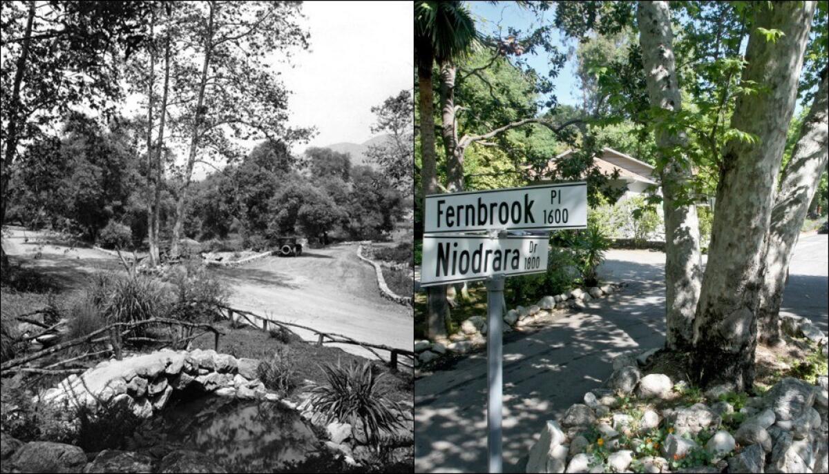 To the left, Niodrara Drive and surrounding streets in Glendale's Verdugo Woodlands neighborhood once contained a natural stream. The stream, seen here from Niodrara and Fernbrook Place circa the 1920s, went dry in 1986. To the right, the neighborhood is shown from Niodrara Drive and Fernbrook Place on Tuesday, April 12, 2016.