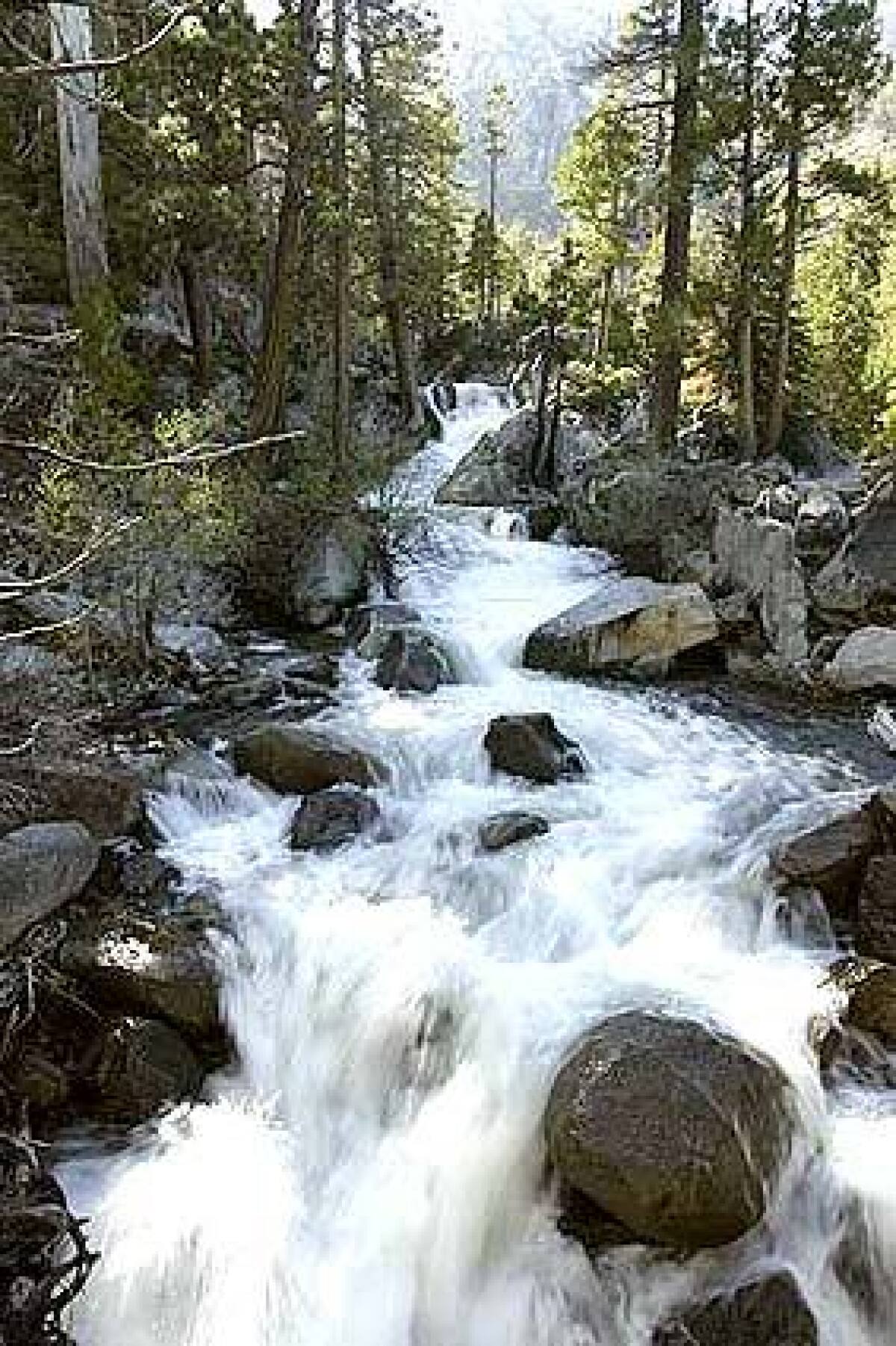 Backcountry water has gotten a bad rap for spreading giardia. Now tests suggest it's not the water that is making people sick.