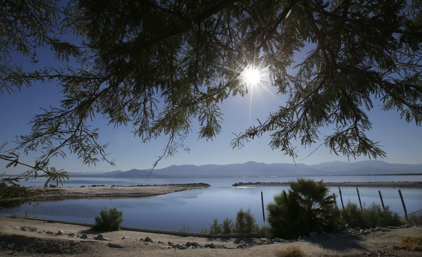 There are still many beautiful views of the Salton Sea, this one along the north shore. Recognizing the environmental issues at the Salton Sea, Gov. Jerry Brown has appointed Bruce Wilcox, a longtime employee of the Imperial Irrigation District, as the newly appointed assistant secretary for the Salton Sea.