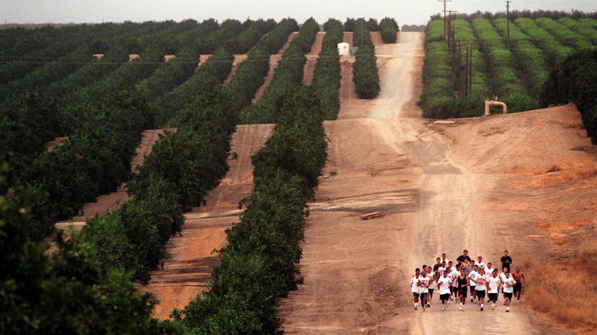 Members of the McFarland High School cross-country team train while running through the vineyards of McFarland in 1997.