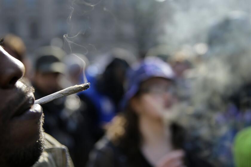 A new study finds that people who use drugs only on weekends only are more likely than not to be using drugs on weekdays too in six months' time. Pictured here, a man smoking marijuana outside the New Jersey state house.