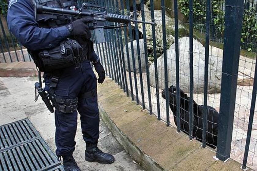 A police officer watches over a panther in the backyard of an upscale home in Mexico City. Earlier, authorities arrested more than a dozen people in a drug raid at the residence, seizing weapons, vehicles and exotic animals. More photos >>>