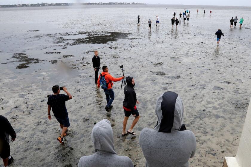 People walk out on to what is normally four feet of water in Old Tampa Bay, Sunday, Sept. 10, 2017, in Tampa, Fla. Hurricane Irma, and an unusual low tide pushed water out almost hundreds of yards. (AP Photo/Chris O'Meara)