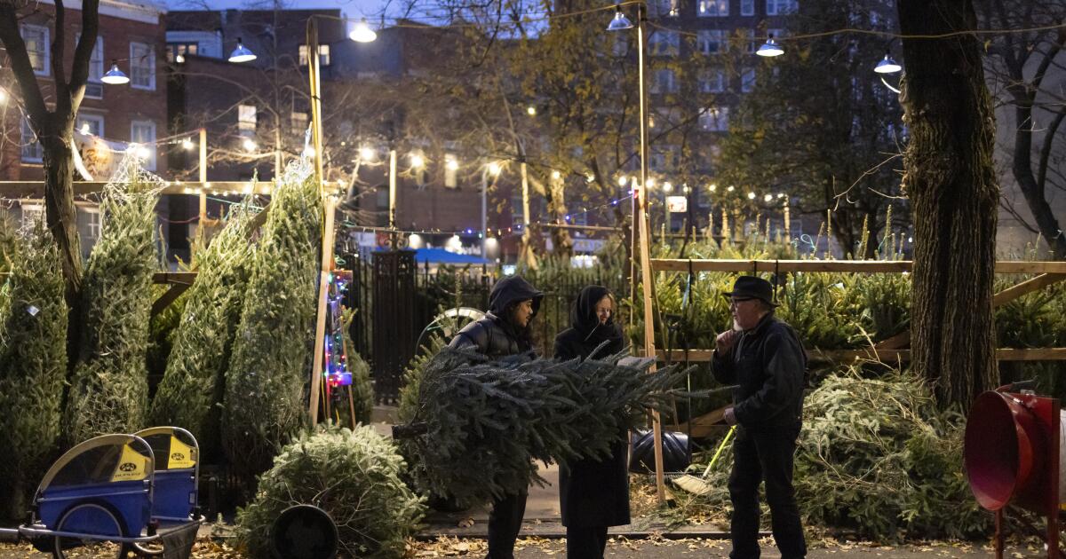 Acheter et vendre des arbres de Noël à New York est une affaire sérieuse