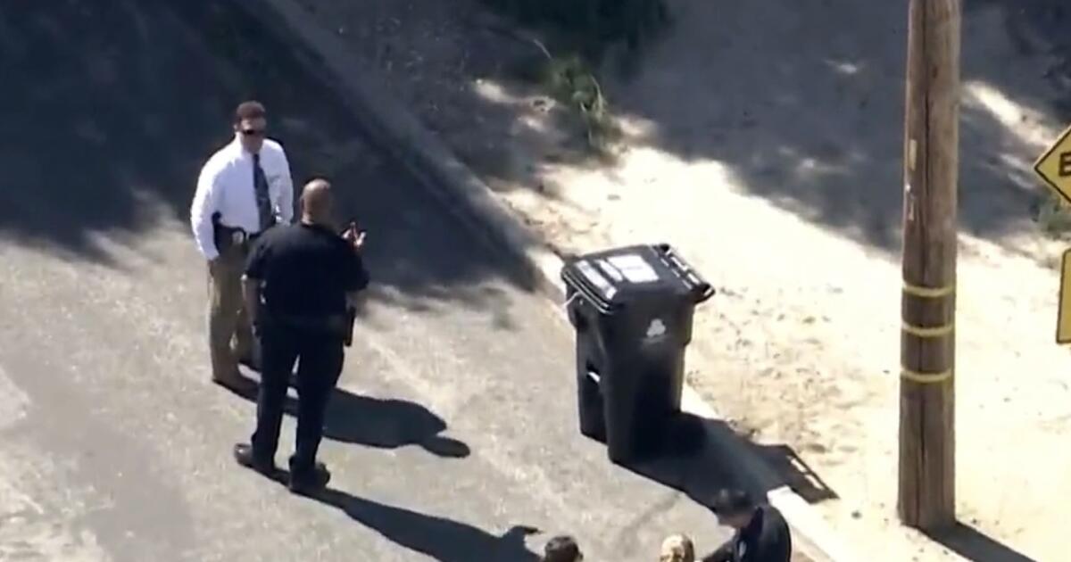 Police discover woman's body stuffed inside Sunland trash can