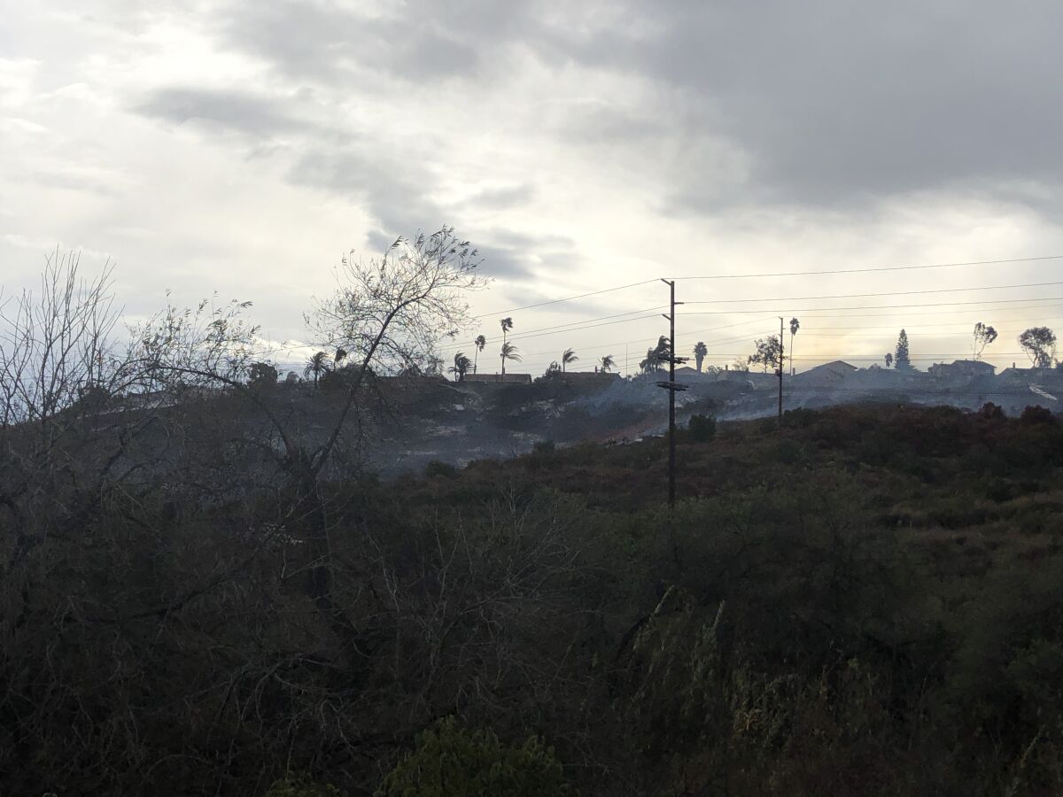 Firefighters put out a brush fire that threatened homes in Rancho San Diego Wednesday.