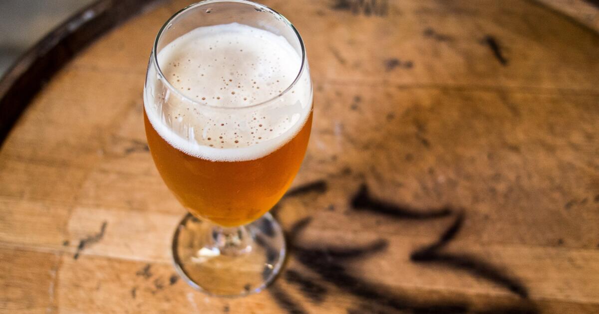 Pliny the Younger is here What you need to know about craft beer's
