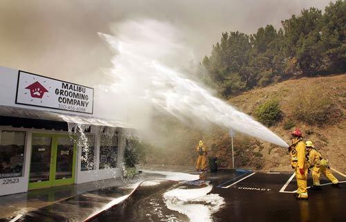 Canyon Fire -- saving a business