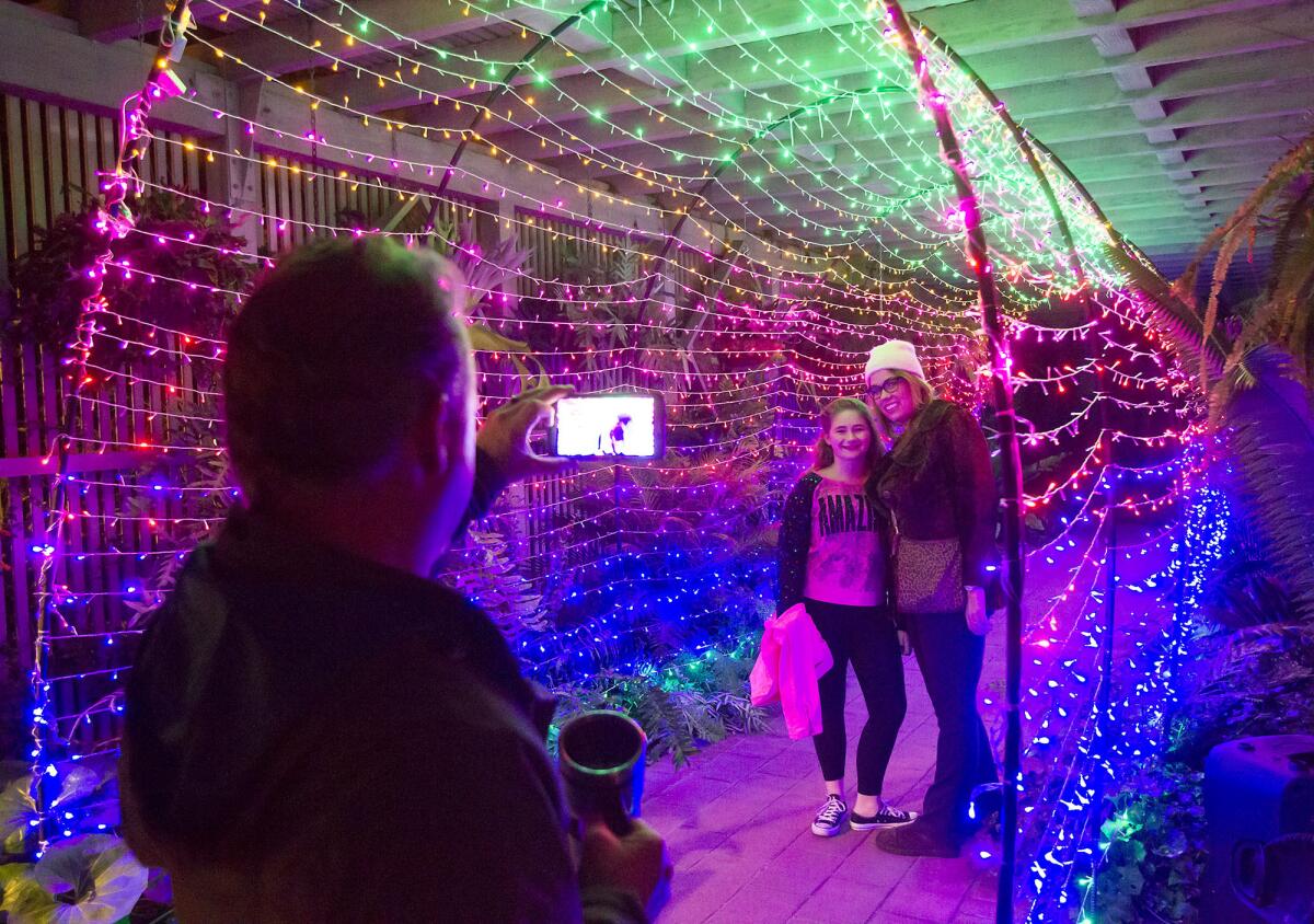 A family takes pictures in the Christmas-light rainbow tunnel during "Nights of 1,000 Lights" at Sherman Library & Gardens in 2015.