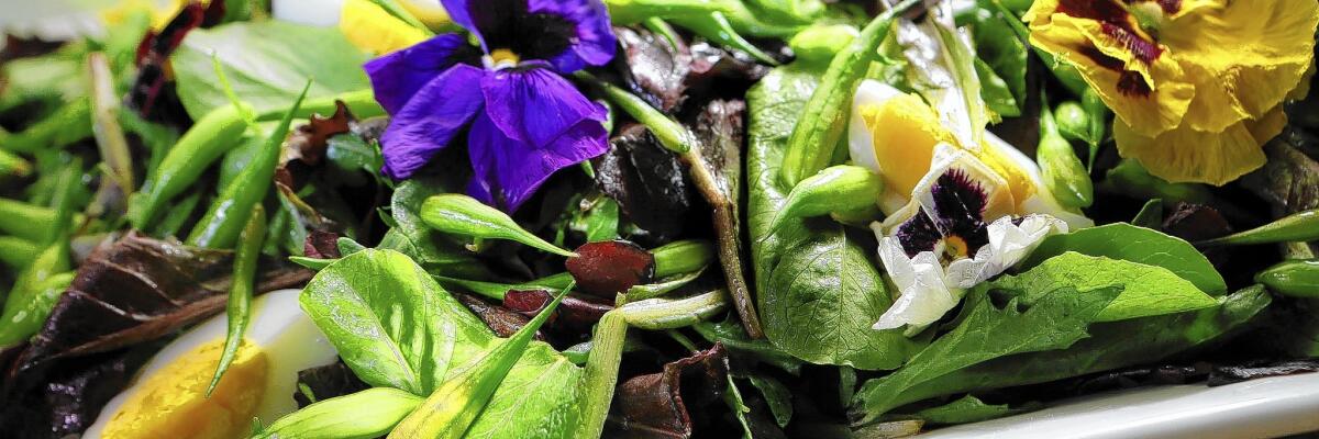 Combating food waste: Delicious recipes using kitchen scraps