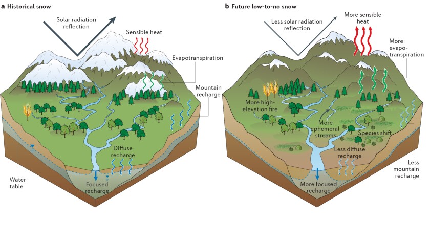 Researchers demonstrated how the West's mountain environments could change under persistent low- to no-snow conditions
