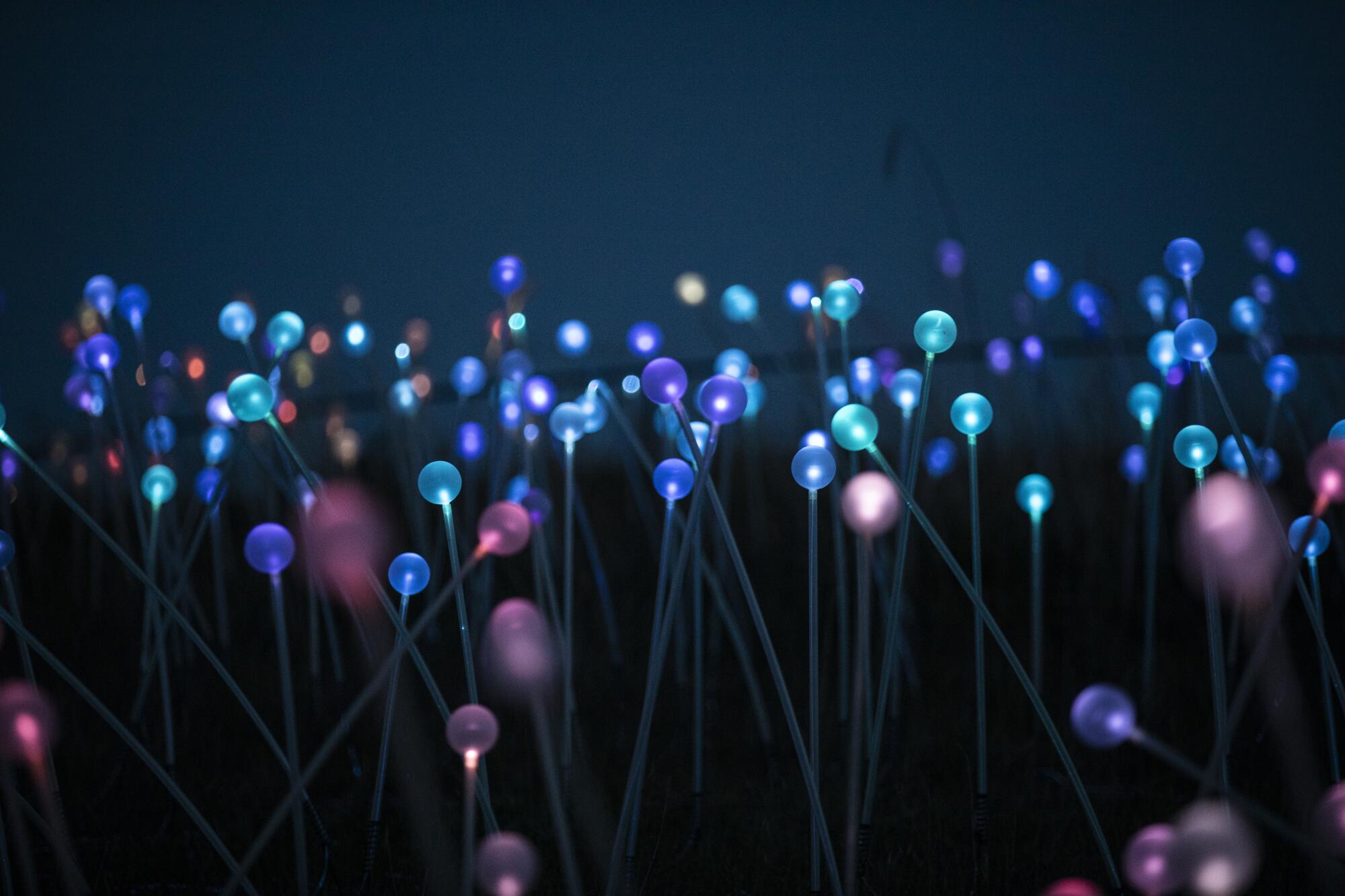 Sensorio is composed of 58,800 stemmed spheres lit by fiber optics.