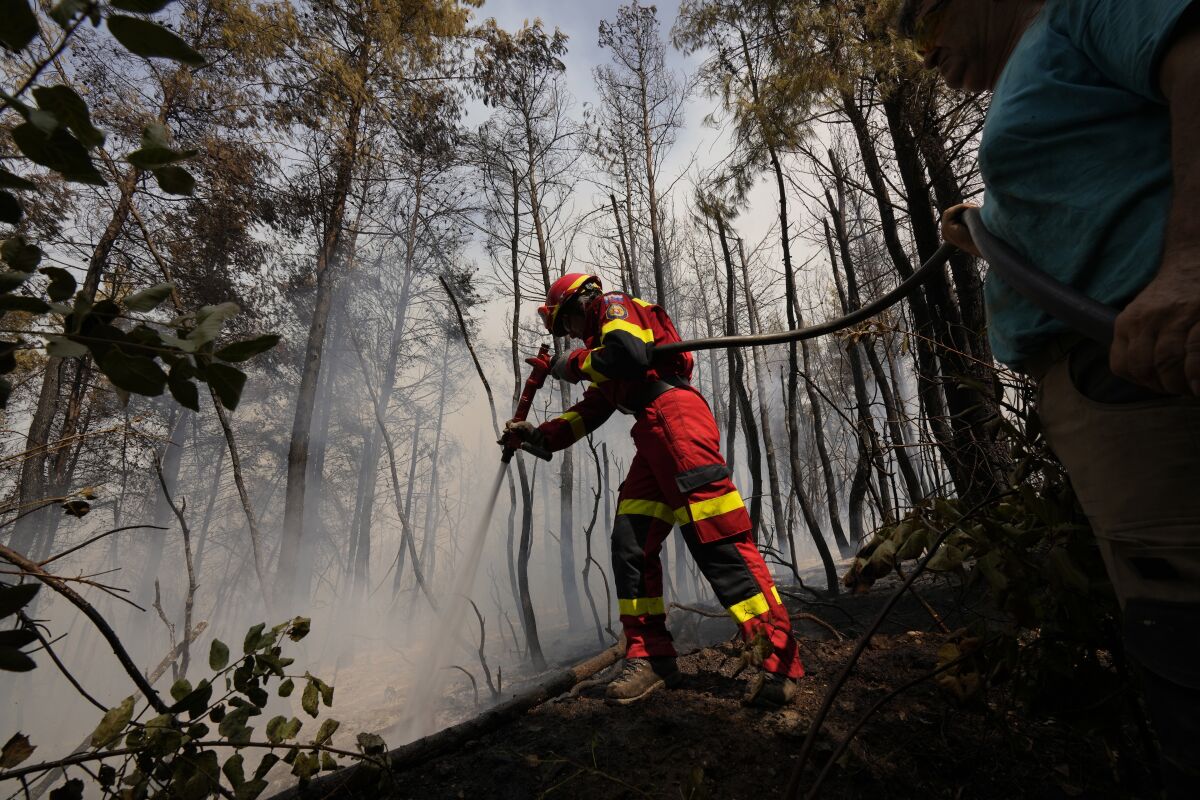 A firefighter tries to extinguish a fire amid trees