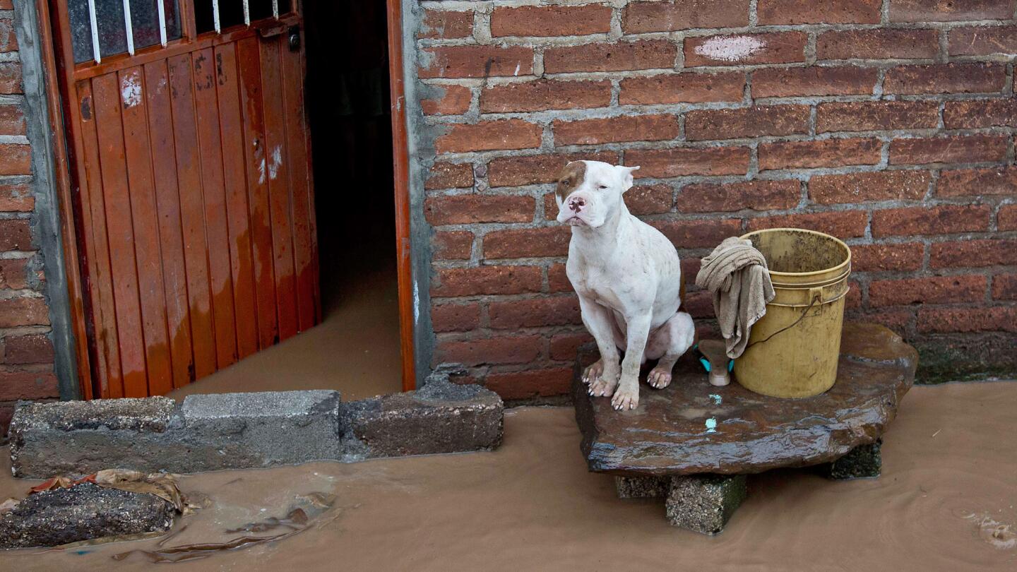 Hurricane Patricia aftermath