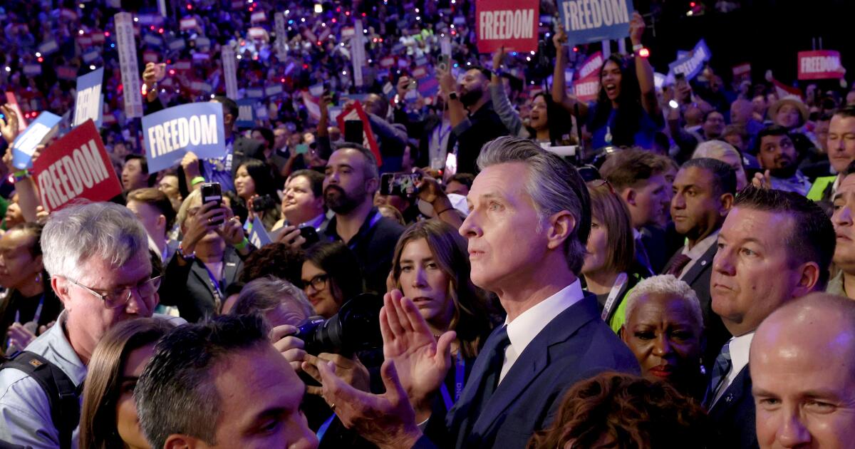 Newsom closes ceremonial roll call at DNC, kick-starts his advocacy for Harris Newsom closes ceremonial roll call at DNC, kick-starts his advocacy for Harris